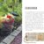 Garten-Deko selbst gemacht: DIY-Projekte aus Weide, Beton, Holz, Stahl, Metall, Glas - 5