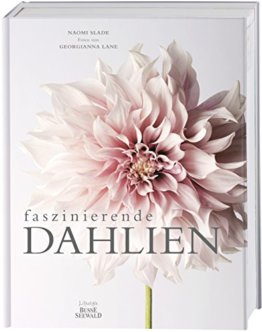 Faszinierende Dahlien - 1