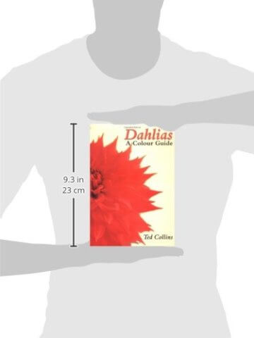 Dahlias: A Colour Guide - 2