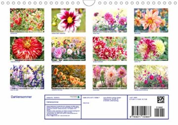 Dahliensommer (Wandkalender 2020 DIN A4 quer): Dahlien, die begeistern (Monatskalender, 14 Seiten ) (CALVENDO Natur) - 2