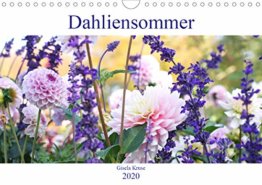 Dahliensommer (Wandkalender 2020 DIN A4 quer): Dahlien, die begeistern (Monatskalender, 14 Seiten ) (CALVENDO Natur) - 1