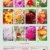 Feurige Dahlien (Wandkalender 2020 DIN A4 hoch): Strahlend schöne Spätsommerblumen (Monatskalender, 14 Seiten ) (CALVENDO Natur) - 2
