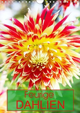 Feurige Dahlien (Wandkalender 2020 DIN A4 hoch): Strahlend schöne Spätsommerblumen (Monatskalender, 14 Seiten ) (CALVENDO Natur) - 1