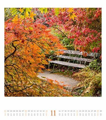 Paradiesische Gärten 2020, Wandkalender im Hochformat (48x54 cm) - Gartenkalender mit Monatskalendarium - 12
