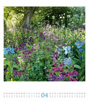 Paradiesische Gärten 2020, Wandkalender im Hochformat (48x54 cm) - Gartenkalender mit Monatskalendarium - 5
