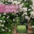Paradiesische Gärten 2020, Wandkalender im Hochformat (48x54 cm) - Gartenkalender mit Monatskalendarium - 1