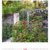Paradiesische Gärten 2020, Wandkalender im Hochformat (48x54 cm) - Gartenkalender mit Monatskalendarium - 10