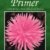 The Dahlia Primer: Little Known Facts About the Dahlia - 1