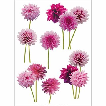 Unbekannt Neue Bilder 170.001829.03 selbstklebend für Fenster Papier Mehrfarbig 69,5 x 49 x 0,1 cm - 4