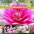 Wunderbare Dahlienwelt (Wandkalender 2020 DIN A3 quer): Die Königin des Spätsommers in farbenfroh leuchtenden Fotografien (Monatskalender, 14 Seiten ) (CALVENDO Natur) - 1